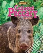 Collared Peccary libro in lingua di Person Stephen