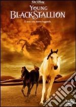 Young Black Stallion film in dvd di Simon Wincer