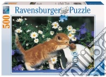 Curiosone puzzle