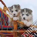 Puzzle 500 pz - cuccioli di husky puzzle di RAVENSBURGER