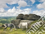 Cavalli nel dartmoor nat. park puzzle di RAVENSBURGER