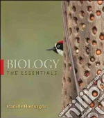 Hoefnagels Marielle
