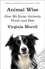 Morell Virginia