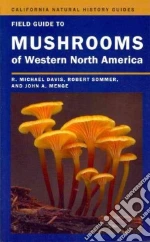 Davis R. Michael, Sommer Robert, Menge John A.