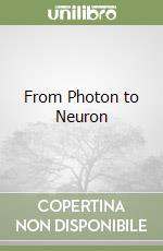 Nelson Philip, Bromberg Sarina (CON), Hermundstad Ann M. (CON), Kinder Jesse M. (CON)