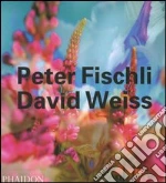 Fleck Robert; Sntgen Beate; Danto Arthur C.