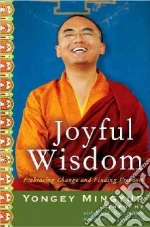 Mingyur Yongey Rinpoche, Swanson Eric, Chin Feodor (NRT)