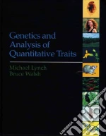 Lynch Michael, Walsh Bruce