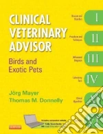 Mayer Joerg (EDT), Donnelly Thomas M. (EDT)
