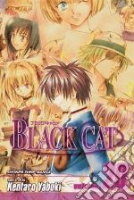 Yabuki Kentaro, Yabuki Kentaro (ILT)