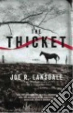 Lansdale Joe R.