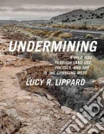 Lippard Lucy R.