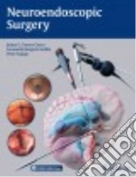 Torres-Corzo Jaime Gerardo M.D. (EDT), Rangel-Castilla Leonardo M.D. (EDT), Nakaji Peter M.D. (EDT)