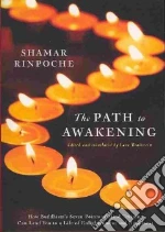 Rinpoche Shamar, Braitstein Lara (TRN)