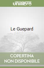 Tomasi Di Lampedusa Giuseppe