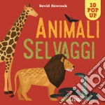 Hawcock David