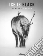 Baheux Laurent