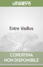 MARTIN GAITE CARMEN