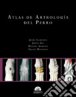 Laborda Jess; Gil Julio; Gimeno Miguel