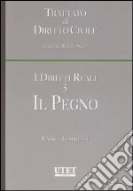 Gabrielli Enrico