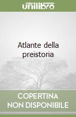 Pinna Lorenzo