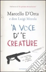 D'Orta Marcello; Merola Luigi