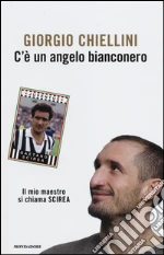 Chiellini Giorgio; Sapegno Pierangelo