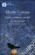 Corona Mauro