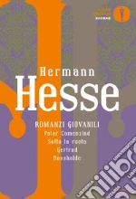 Hesse Hermann