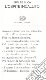 De Luca Erri