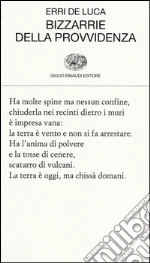 De Luca Erri