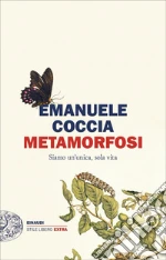 Coccia Emanuele