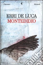 De Luca Erri