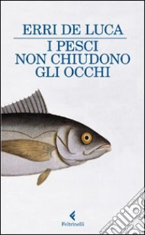 I pesci non chiudono gli occhi libro di De Luca Erri