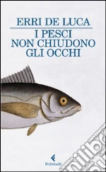 De Luca Erri