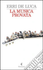 De Luca Erri