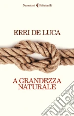 De Luca Erri