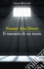 Srour Nasser Abu