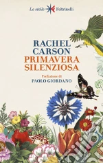 Carson Rachel
