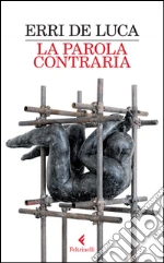 De Luca Erri