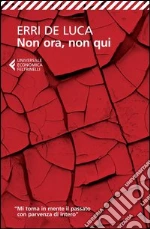 De Luca Erri