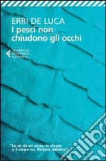 De Luca Erri