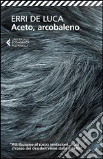 De Luca Erri