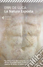 De Luca Erri