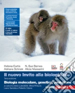 Curtis Helena; Barnes N. Sue; Schnek Adriana; Lancellotti L. (cur.); Gandola L. (cur.); Odone R. (cur.)