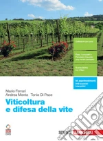 Ferrari Mario; Menta Andrea; Di Pace Tonio