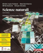 Lupia Palmieri Elvidio; Parotto Maurizio; Saraceni Silvia; Strumia Giorgio