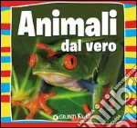 Bus Emanuela