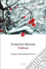 Messina Domenico