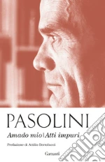 Pasolini Pier Paolo; D'Angeli C. (cur.)